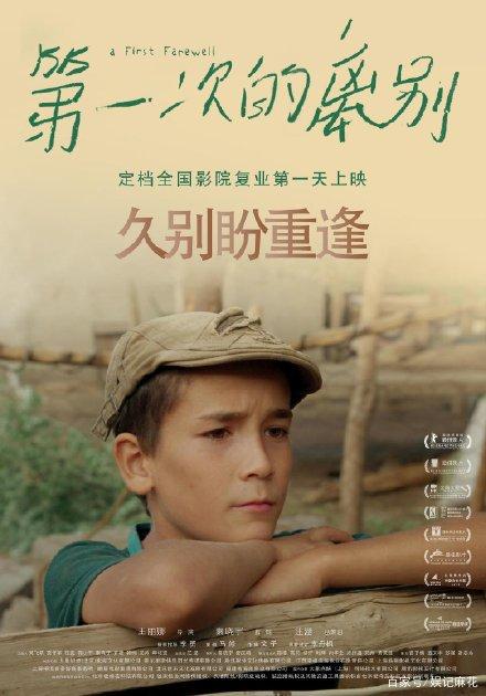 买假李斯-麦克莱学院文凭